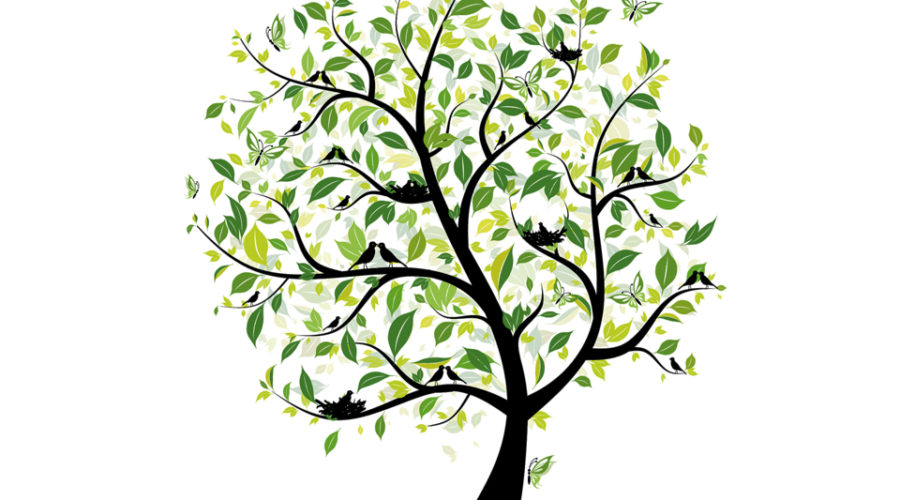 A Importância do Sitemap para seu Site, Blog e Loja Virtual 1 A Importância do Sitemap para seu Site, Blog e Loja Virtual